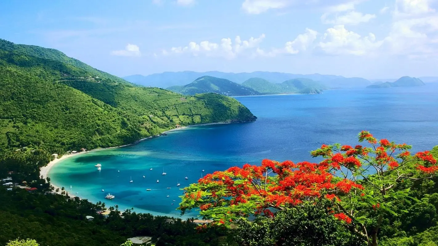 高效可靠性可靠性