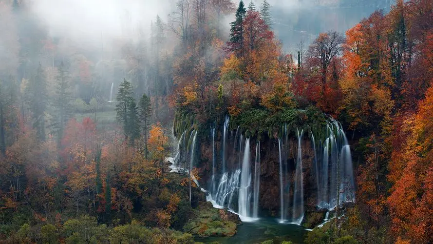 网络化创新